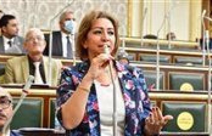 اتصالات النواب لتحيا مصر: المحافظ الإلكترونية تحقق الشمول.. وهذه رؤية اللجنة 2030