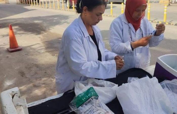 محافظة الجيزة: تحصين الكلاب الحرة بالمنطقة الأثرية لحماية المواطنين والزائرين.. صور