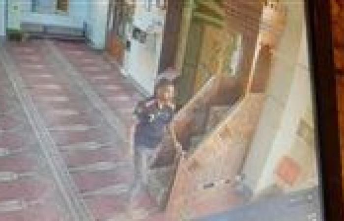 سرقة محتويات مسجد الرضوان بالإسماعيلية.. وكاميرات المراقبة ترصد المتهم