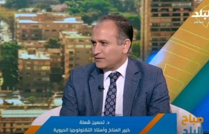 تحسين شعلة: الانبعاثات الكربونية تؤدي لاتساع ثقب الأوزون| فيديو