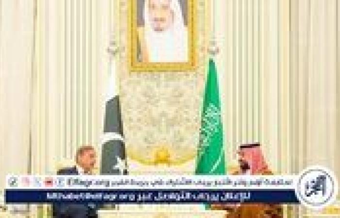 عاجل - الرياض تستضيف لقاءً رسميًا بين ولي العهد ورئيس وزراء باكستان