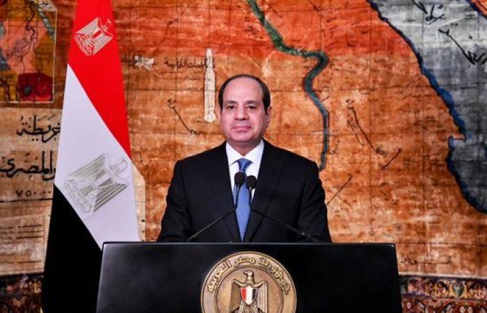 السيسي: نتطلع لاستلهام نجاح التعاون بمجال النقل على جميع أسس المجالات بين مصر وإسبانيا