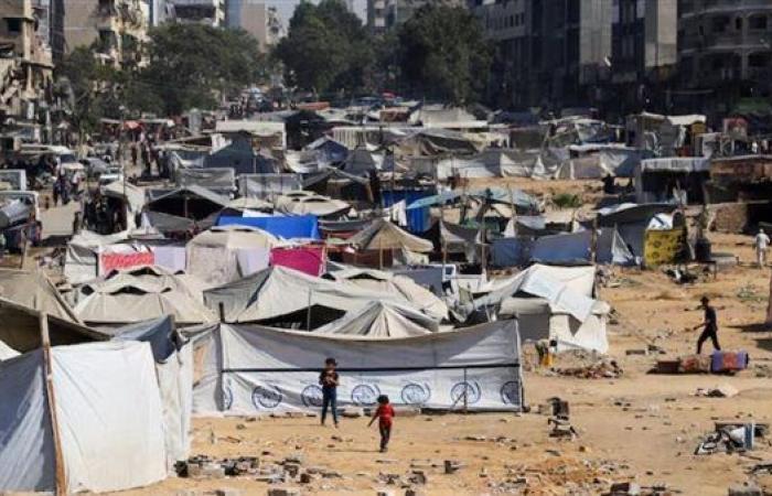 اليابان: لا اعتراف بدولة فلسطينية حاليًا حفاظًا على العلاقات مع واشنطن