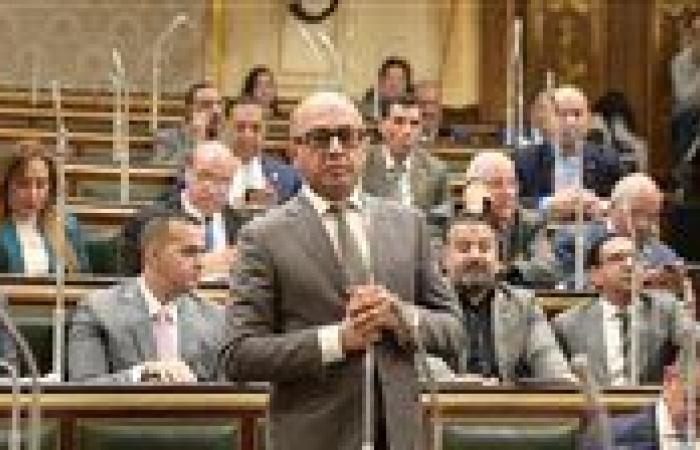 النائب د. هشام حسين: العدوان الإسرائيلي على غزة يكشف عجز المجتمع الدولي وازدواجية معاييره