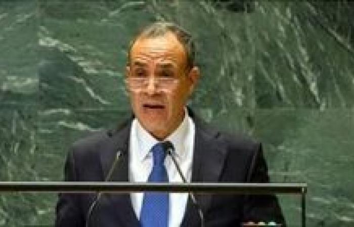 وزير الخارجية: مصر تدعو دول العالم إلى الاعتراف بفلسطين