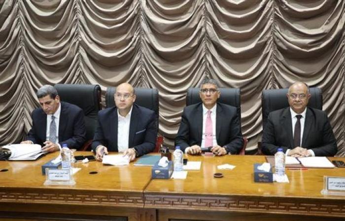 محافظ الجيزة يبحث مع مستثمري المناطق الصناعية بجرزا وعرب أبو ساعد دعم وتمويل المصانع
