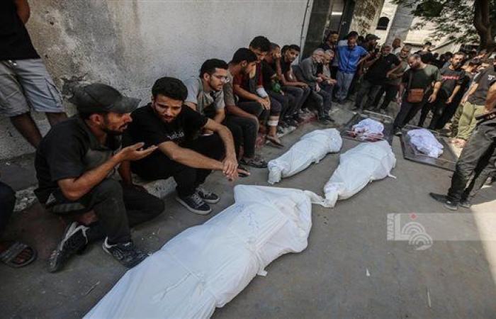 9 شهداء و33 مصابا في غزة بقصف مراكز المساعدات خلال 24 ساعة