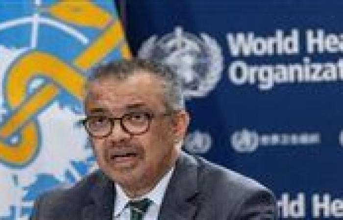 الصحة العالمية: انخفاض معدل الوفيات الناجمة عن الأمراض غير المعدية في مصر