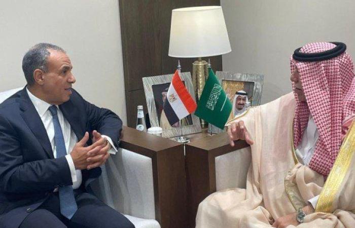 وزير الخارجية المصري يبحث في الرياض تعزيز التعاون الاقتصادي مع السعودية والانفتاح على أسواق إفريقيا