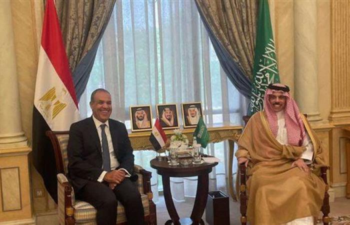 وزير الخارجية يجري مباحثات مع نظيره السعودي لتعزيز التعاون الثنائي