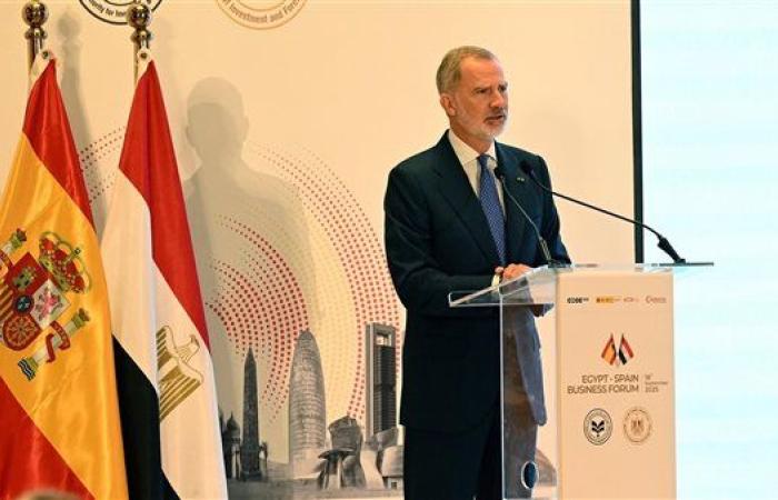 ملك إسبانيا: 60 شركة إسبانية مستقرة في مصر وتشارك في مشروعات قومية كبرى