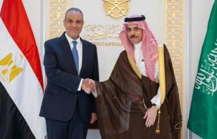 وزير الخارجية يبحث مع نظيره السعودى لبحث التطورات الإقليمية