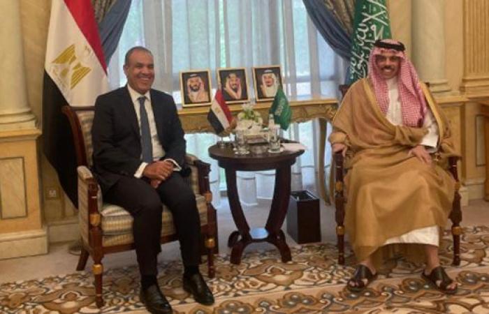 وزير الخارجية يبحث مع نظيره السعودى التطورات الإقليمية والعلاقات الثنائية