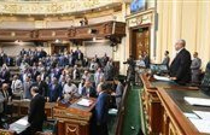 سؤال في البرلمان لحماية أطفالنا من مخاطر « روبلوكس»
