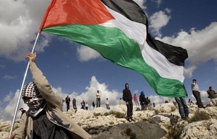 مطالبة أمريكية غير مسبوقة.. هل يعترف ترامب بدولة فلسطين؟