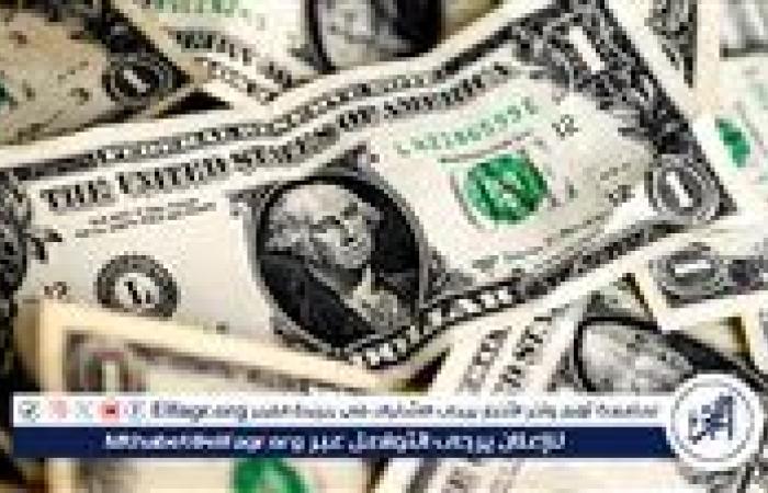 الدولار يحافظ على استقراره أمام الجنيه المصري في تعاملات الجمعة