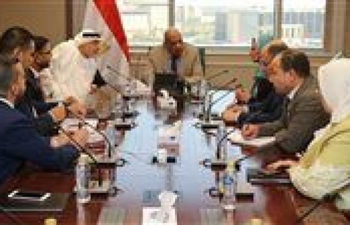 مصر تبحث مع شركة إماراتية التوسع بمشروعات تخزين الطاقة وإنشاء 3 محطات