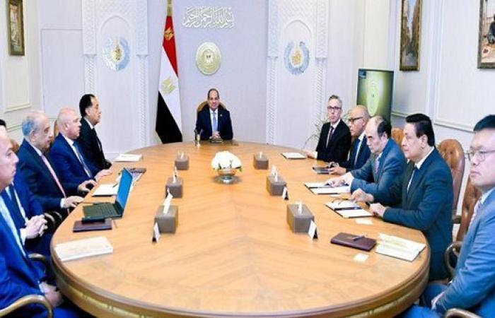 قرارات جمهورية وتوجيهات رئاسية قوية للحكومة تتصدر نشاط السيسي الأسبوعي