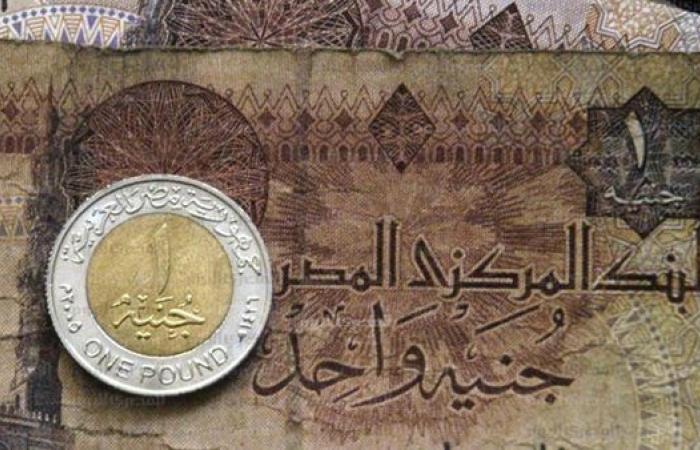 فيتش: الجنيه المصري يستعيد قوته بدعم الاستثمارات واحتياطيات النقد الأجنبي