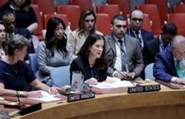 الولايات المتحدة تصوت ضد مشروع قرار بمجلس الأمن لوقف إطلاق النار فى غزة