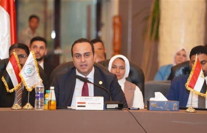 مصر تدعو إلى شبكة عربية موحدة للرعاية الصحية خلال مؤتمر الهيئات الصحية العربية