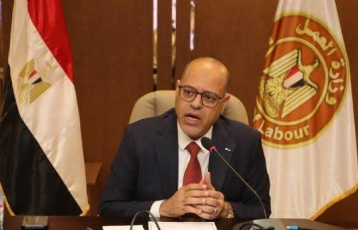 نشاط مكثف لمديريات العمل بالمحافظات.. توفير فرص ...