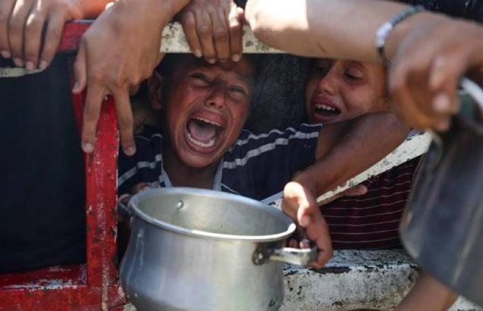 واشنطن بوست: وسط المجاعة والقصف.. الديمقراطيون يراجعون موقفهم من إسرائيل