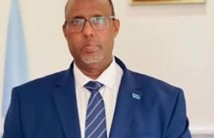 سفير الصومال بالقاهرة يشيد بمواقف مصر برئاسة الرئيس السيسي لدعم بلاده