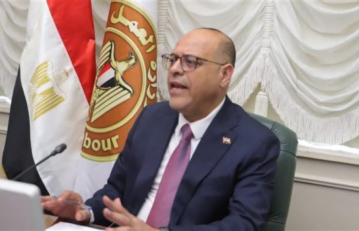وزير العمل: تدريب وتأهيل العمالة المصرية وفق ...