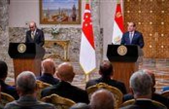 السيسي: لا سلام أو استقرار في المنطقة دون منح الشعب الفلسطيني حقوقه المشروعة