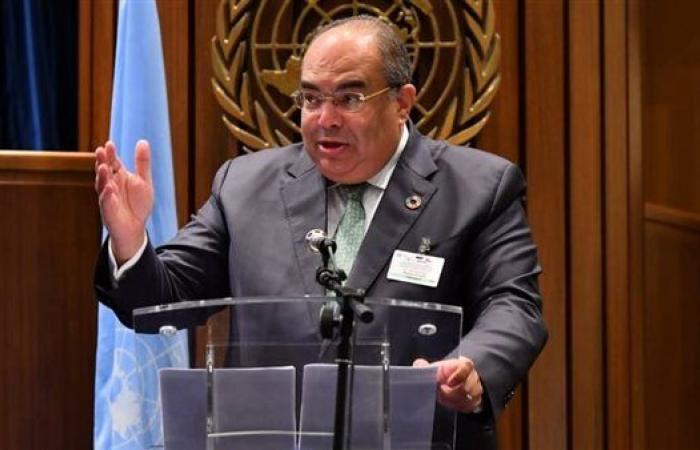 محيي الدين: مراجعة رأس المال المدفوع للبنك الدولي تحتاج توافقاً سياسياً قبل الاقتصادي