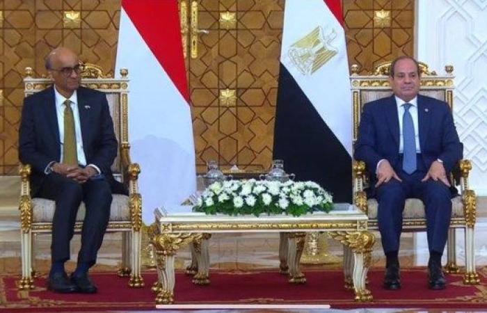 مصر وسنغافورة شراكة استراتيجية تصنع مستقبل التدريب وبناء القدرات