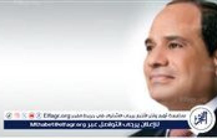 عاجل- الرئيس السيسي يدعو شركات سنغافورة لضخ استثمارات جديدة في مصر