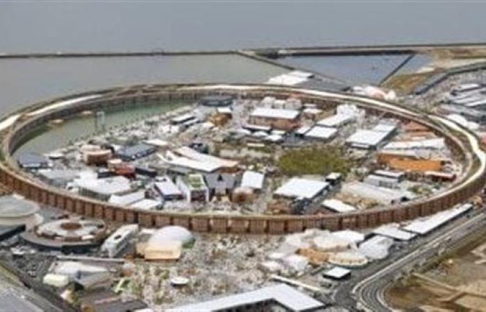 أبرزها الخاتم الكبير.. تعرف على أغرب 5 هياكل خشبية فى العالم