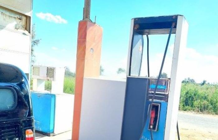 ضبط أكثر من طن هارنج فاسد و528 زجاجة زيت تمويني بالسوق السوداء في البحيرة