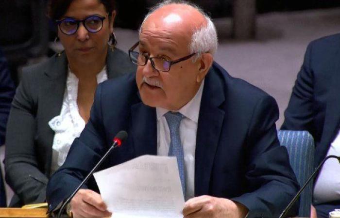مندوب فلسطين: الاعتراف البريطاني والكندي والأسترالي بالدولة الفلسطينية خطوة عظيمة