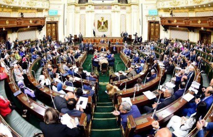 وزير الشؤون النيابية: انعقاد منقوص لمجلس النواب قبل أكتوبر لمناقشة اعتراض الرئيس على الإجراءات الجنائية