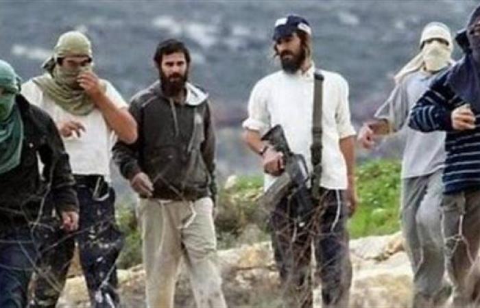 فلسطين.. مستعمرون إسرائيليون يواصلون حراثة أراضي المواطنين في خربة الفارسية