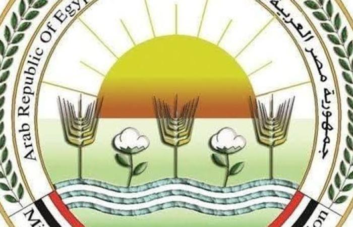 نتائج مشاركة وزير الزراعة فى اجتماع مجموعة العشرين ( إنفو جراف)