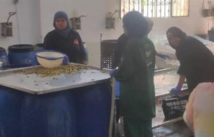 حملات مفاجئة على 27 منشأة غذائية وصناعية بالمناطق الصناعية بالشرقية