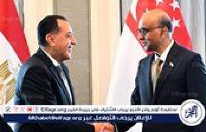 التبادل التجاري بين مصر وسنغافورة يسجل 137 مليون دولار خلال النصف الأول من 2025