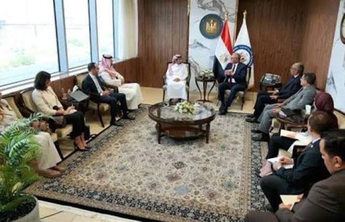 وزير البترول يبحث دعم الاستثمارات السعودية في صناعات البتروكيماويات والأسمدة بمصر