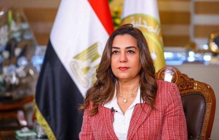وزيرة التنمية تستعرض تقريراً حول نتائج المرور الميدانى على 10 مراكز تكنولوجية بالمنيا