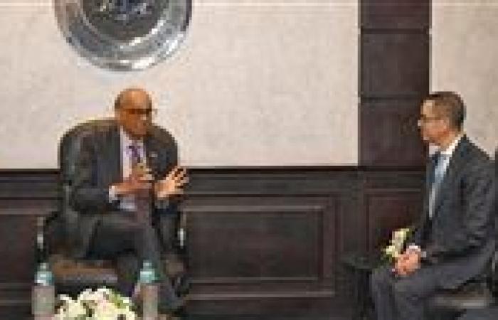 وزير الاستثمار يبحث مع رئيس سنغافورة التعاون في 4 مجالات