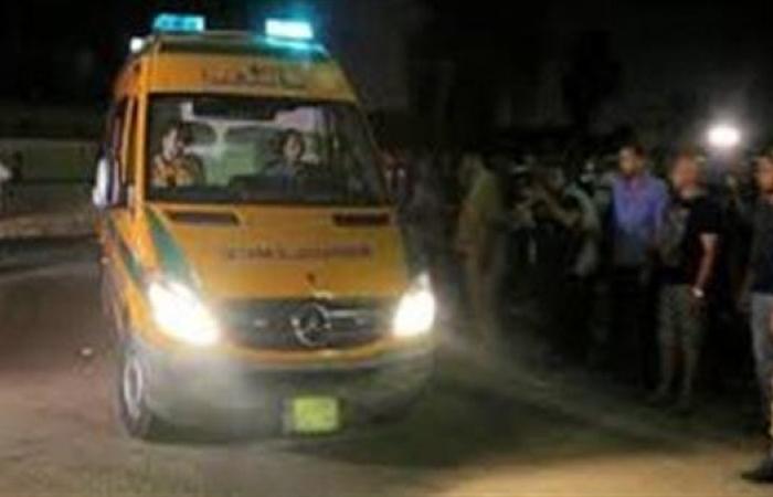 إصابة 8 أشخاص من عائلة واحدة في حادث تصادم بالبحيرة