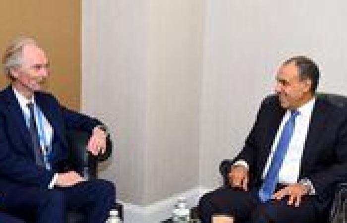 وزير الخارجية يلتقى مبعوث الامم المتحدة الخاص إلى  سوريا