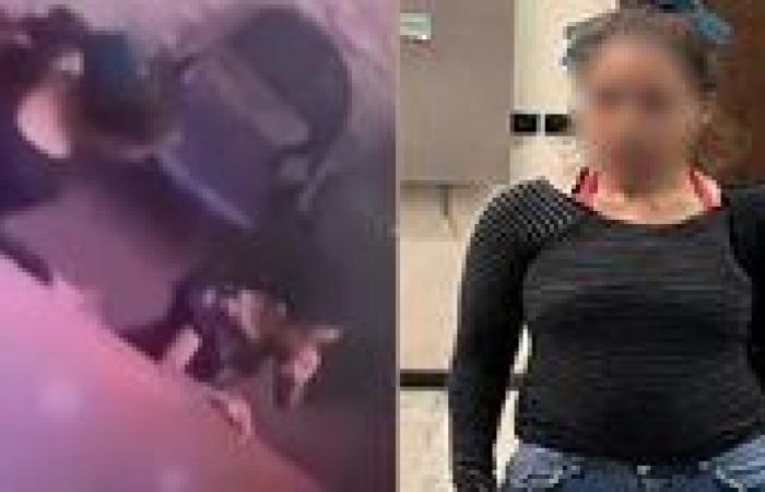 كشف ملابسات محاولة إحدى السيدات خطف طفلة بالإسكندرية