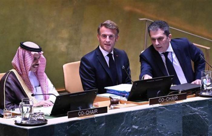 فرنسا تعترف رسميًا بدولة فلسطين