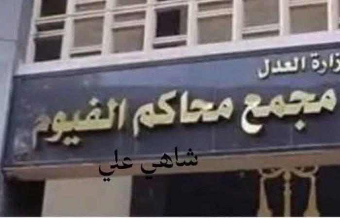 إحالة شاب بالفيوم إلى المفتي لاتهامه بقتل جدته وسرقتها