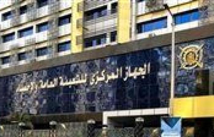 «الإحصاء»: 20.9% انخفاضًا في العاملين الأجانب بالقطاع الحكومي خلال 2024